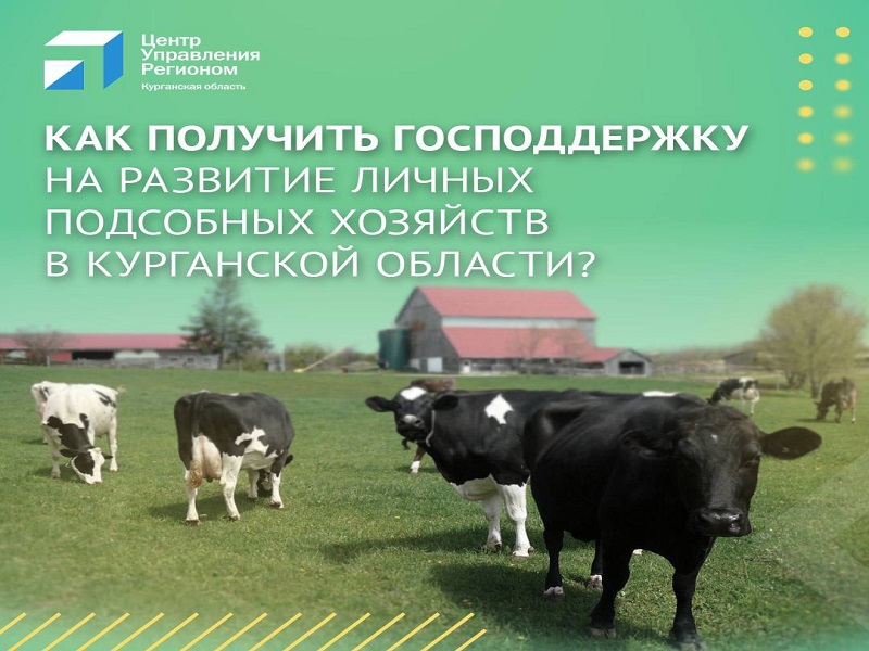 Помощь государства в развитии вашего личного подсобного хозяйства.