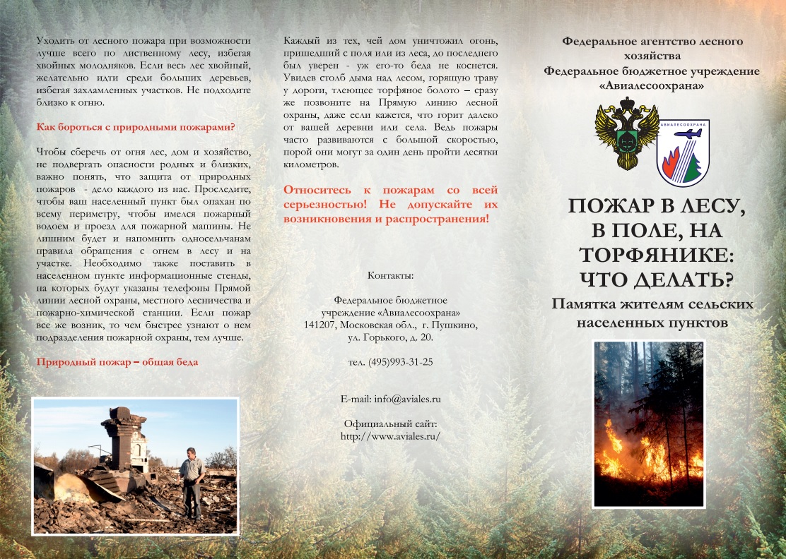 Памятка жителям сельских населенных пунктов &quot;Пожар в лесу, в поле, на торфянике: что делать?&quot;.