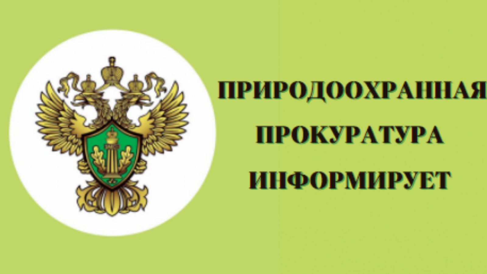 29.11.2024 руководством Курганской межрайонной природоохранной прокуратуры будет проведен личный прием граждан Белозерского муниципального округа по вопросам охраны окружающей среды.