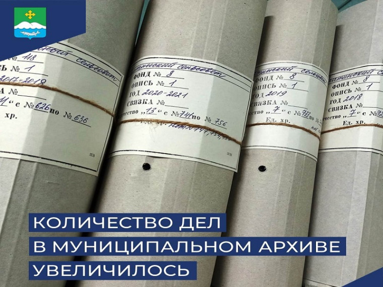 Количество дел в муниципальном архиве увеличилось. Количество дел в муниципальном архиве увеличилось.