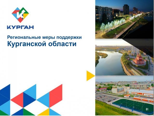 Региональные меры поддержки предпринимательства в Курганской области. Региональные меры поддержки предпринимательства в Курганской области.