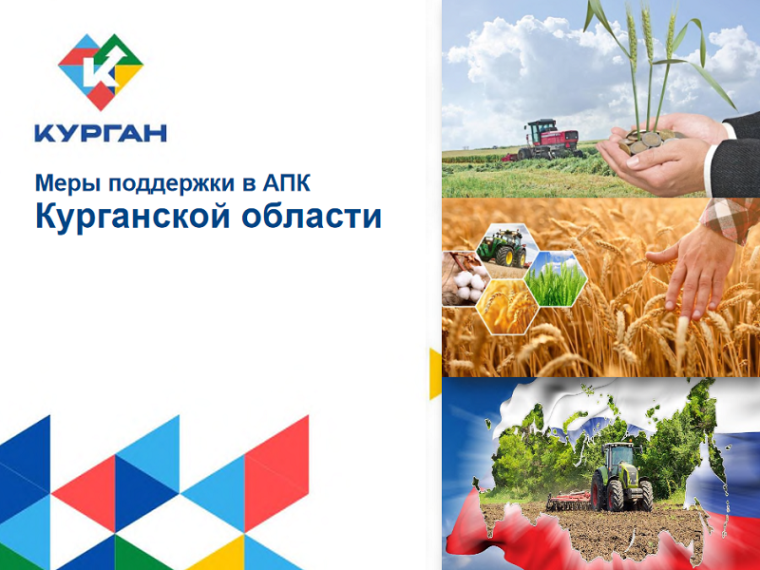 Меры поддержки АПК в Курганской области. Меры поддержки АПК в Курганской области.