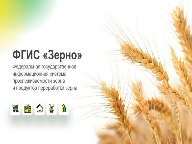 Информация для участников зернового рынка о необходимости регистрации в ФГИС «Зерно». Информация для участников зернового рынка о необходимости регистрации в ФГИС «Зерно».