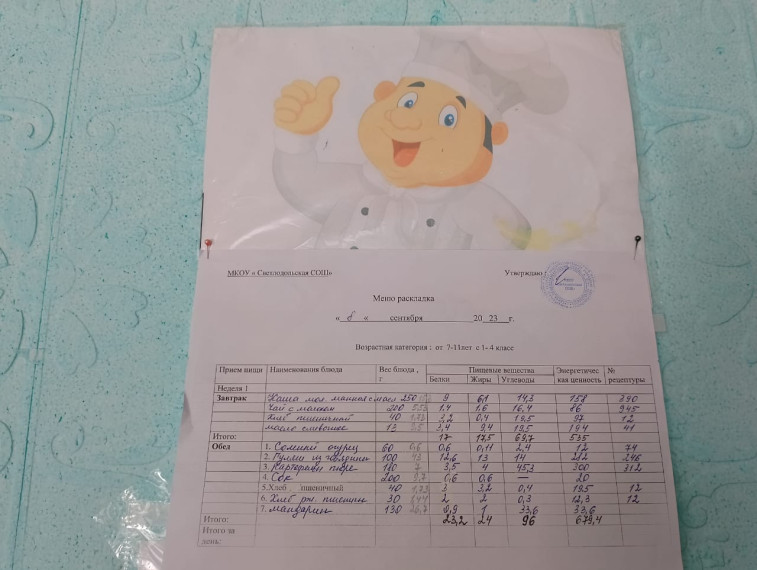 Школьное питание. Школьное питание.