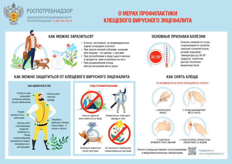 Меры профилактики. Меры профилактики.