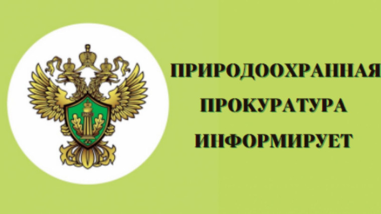 29.11.2024 руководством Курганской межрайонной природоохранной прокуратуры будет проведен личный прием граждан Белозерского муниципального округа по вопросам охраны окружающей среды. 29.11.2024 руководством Курганской межрайонной природоохранной прокуратуры будет проведен личный прием граждан Белозерского муниципального округа по вопросам охраны окружающей среды.